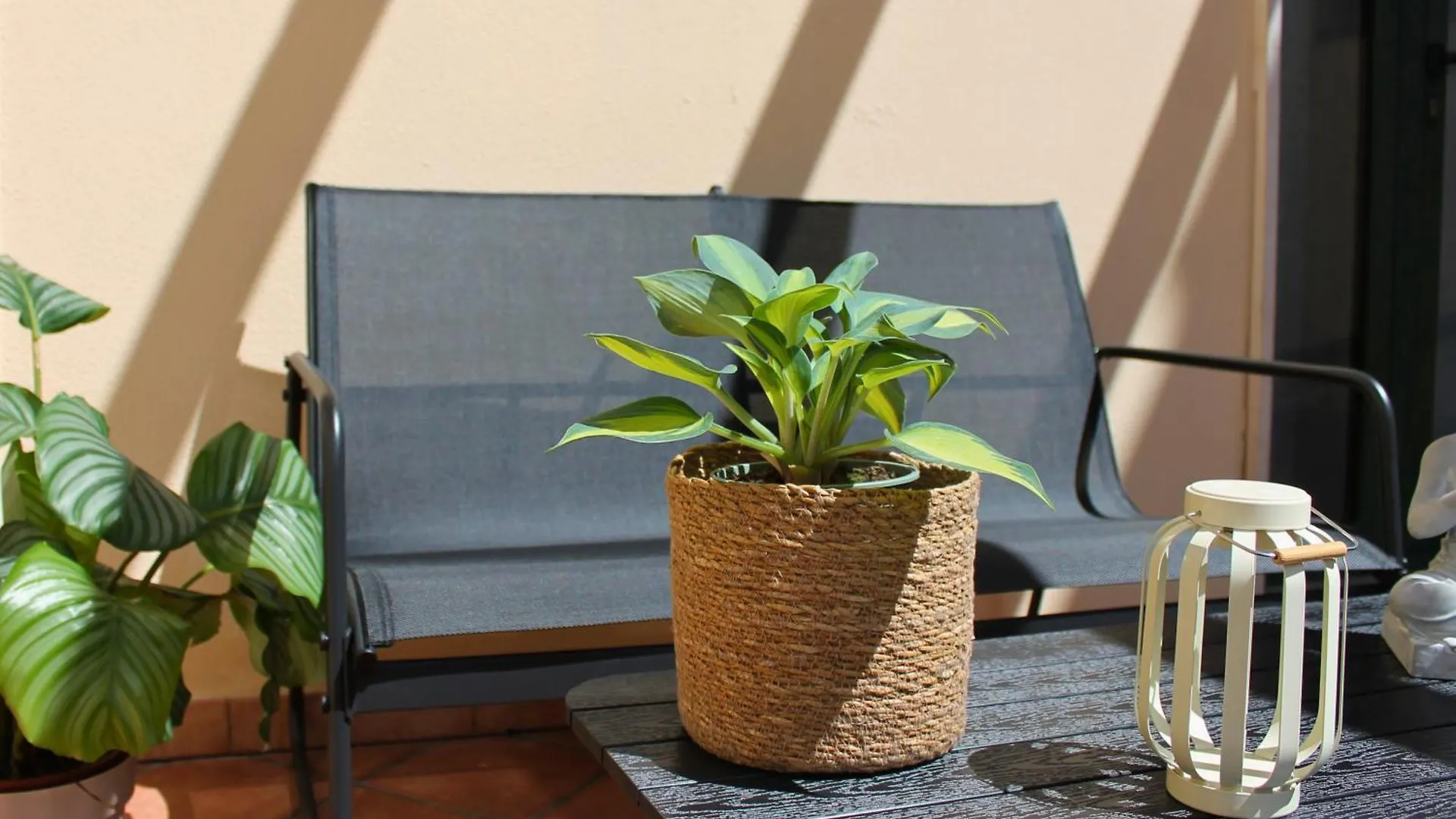 Dimidium Apartment Guspini Italia